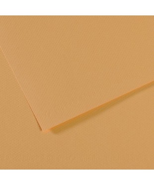 Бумага для пастели в листах Canson, серия Mi-Teines, цвет конопляный № 340, размер 50х65 см, 160 гр/кв.м, 200321044