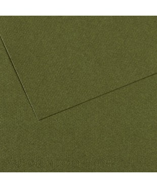Бумага для пастели в листах Canson, серия Mi-Teines, цвет плющ, № 448, размер 50х65 см, 160 гр/кв.м, 200331454